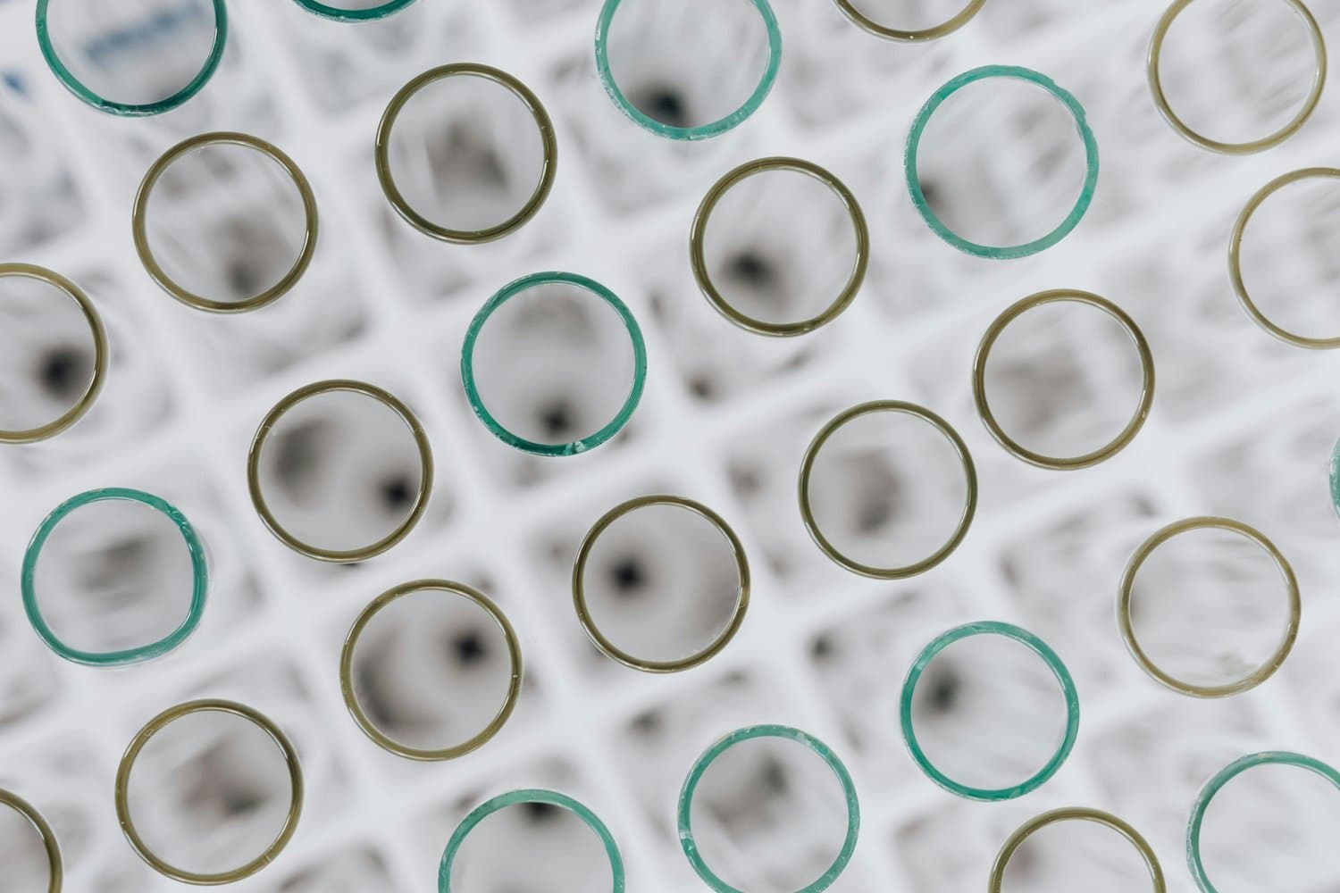 Ricerca neurosensoriale in laboratorio