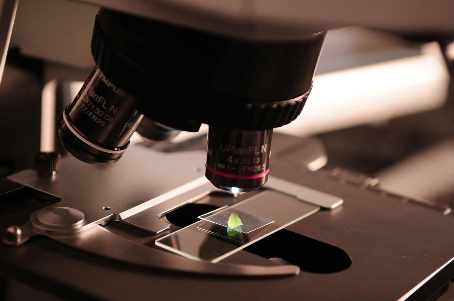 Microscopio — ricerca scientifica MindFeel